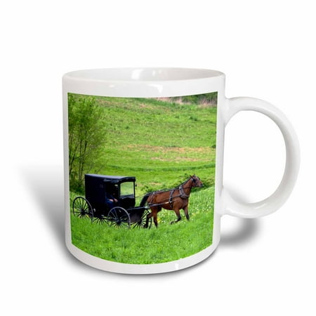 3dRose Amish farm with horse buggy near Berlin, Ohio - US36 DFR0018 - David R. Frazier, Ceramic Mug, 11-ounce