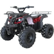 Vitacci Rider 10 125cc Utility ATV with Front and Rear Racks