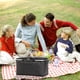 thumbnail image 5 of melotizhi Insulated Cooler Bag Picnic Basket Leakproof Portable Cooler， Premium Folding Basket Foldable Insulated Basket, Black, 5 of 9
