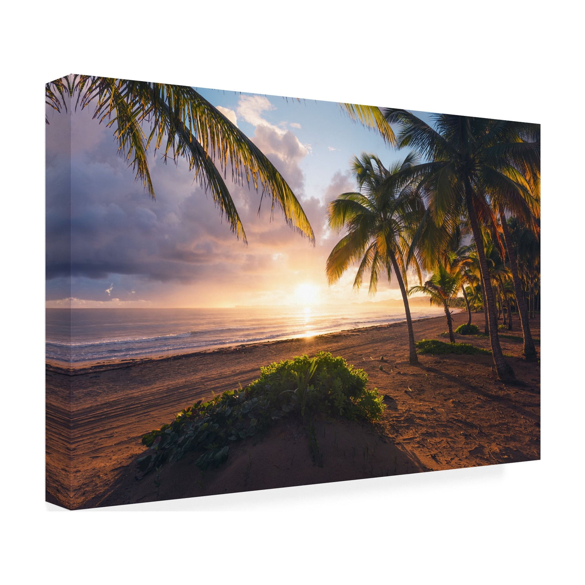 Stefan Hefele 'Good Morning Paradise' Canvas Art
