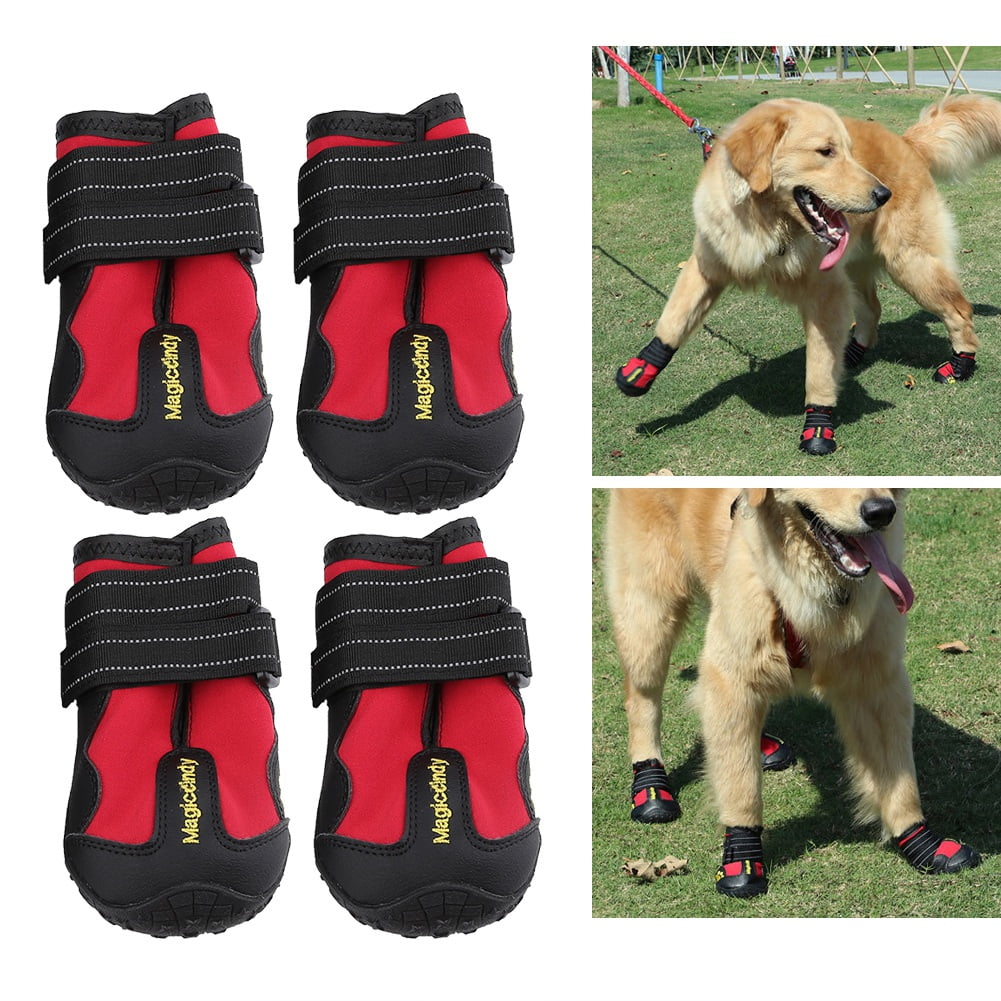 dog boots canada