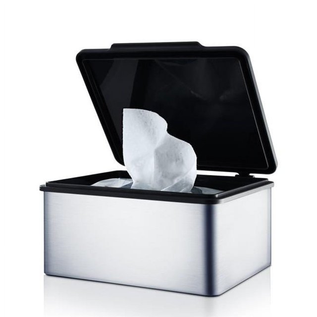 Blomus 68821 Boîte de Rangement Mate en Acier Inoxydable