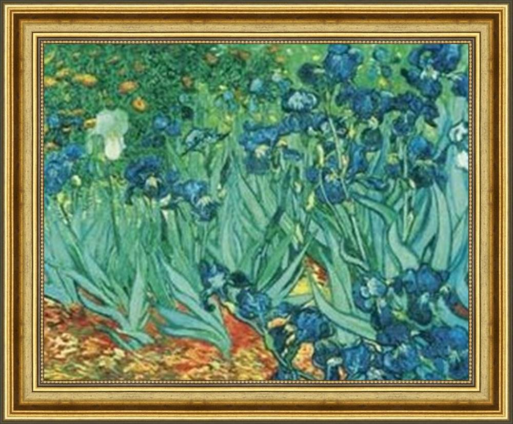Irises in the Garden, SaintRemy, c.1889 by Vincent Van Gogh Framed