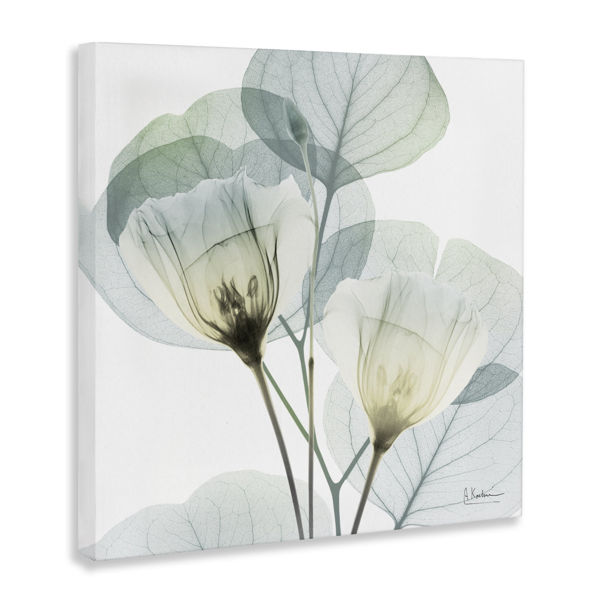 Stupell Industries Divine Fate Flower Leaves Canvas Wall Art, design by Albert Koetsier