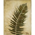 thumbnail image 2 of Pinto, Patricia 15x18 Gold Ornate Wood Framed with Double Matting Museum Art Print Titled - Ferns II, 2 of 4