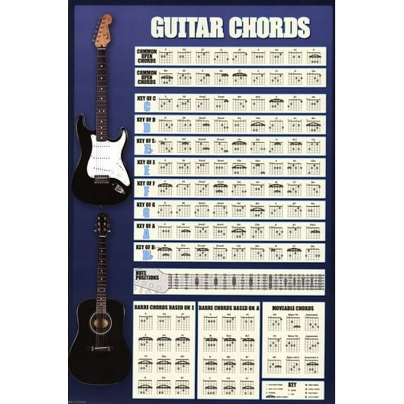 Guitar Cords Poster (24 x 36)