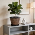 thumbnail image 6 of sruoe Rustic Flower Pots, Plastic Plant Pot with Matching Drainage Saucer, Large Capacity Decorative Flower Container, Barrel Planter for Living Room Outdoor Patio Farmhouse Garden Decor, 12 Inch, 6 of 6