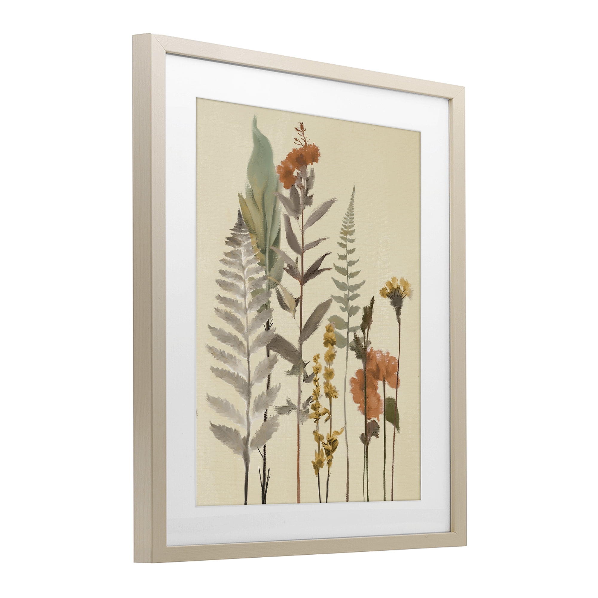 Stupell Industries Fall Botanicals and Ferns Birch Framed Print Under Glass, design by Elizabeth Medley