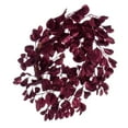 thumbnail image 5 of Vickerman 24" Burgundy Artificial Dogwood Glitter Wreath., 5 of 5
