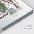 thumbnail image 3 of Botanical Society Ferns IV Premium Gallery Wrapped Canvas - Ready to Hang, 3 of 9