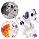 thumbnail image 5 of Funny Humping Spot Dog Cable De Carga USB Cargador Rápido Blanco Tipo-C 1.2m Magideal Adapter, 5 of 6