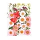 thumbnail image 1 of Billuyoard Conjunto de flores secas para decoración de álbumes de recortes Decoración del hogar tipo 6 Billuyoard HA062478-06B, 1 of 6