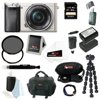 Sony Alpha a6000 24.3 MP Interchangeable Lens Camera with 16-50mm Power Zoom Lens (Silver) + Sony 64GB SD Card + Sony Ca