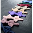 thumbnail image 3 of Spring Notion Men's Microfiber Dotted Bow Tie, 3 of 3