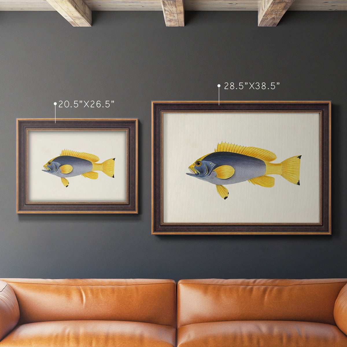 Tropical Fish Collection V Premium Framed Canvas- Ready to Hang