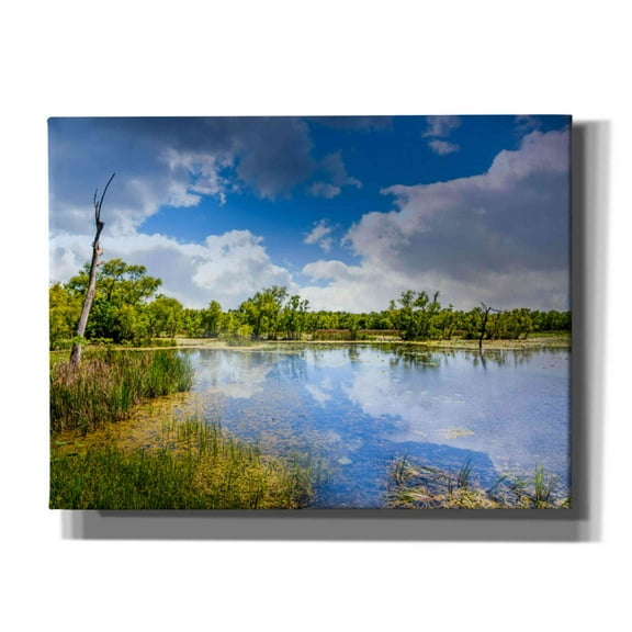Epic Graffiti 'Brazos Bend Sunny Afternoon' by Grace Fine Arts Photography, Canvas Wall Art, 16"x12"