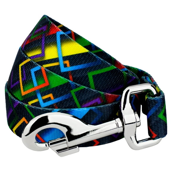 Country Brook Petz® 1/2 inch Memphis 90s Dog Leash, 4 Foot