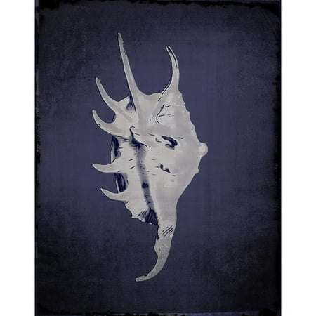 Graffitee Studios Shells Spider Conch Graphic Art on Wrapped Canvas in Indigo
