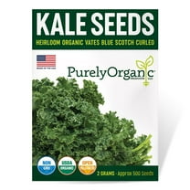 Purely Organic 600 Vates Blue Scotch Curled Kale Plant Seeds, Non-GMO