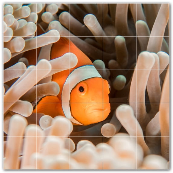 Picture-Tiles.com: Coral Ceramic Tile Wall Mural WAL500429-55S. 21.25"W x 21.25"H using (25) 4.25" x 4.25" Ceramic Tiles-Satin Finish