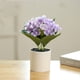 thumbnail image 3 of Simulación de hortensia, bonsái, flor de seda, planta verde artificial, decoración interior, planta artificial en maceta, 3 of 5