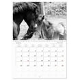 thumbnail image 6 of The last of the wild horses Exmoor ponies (Monthly Wall Calendar 2026 11.7 x 16.5 (open)), CALVENDO 14 Month Calendar, 6 of 9