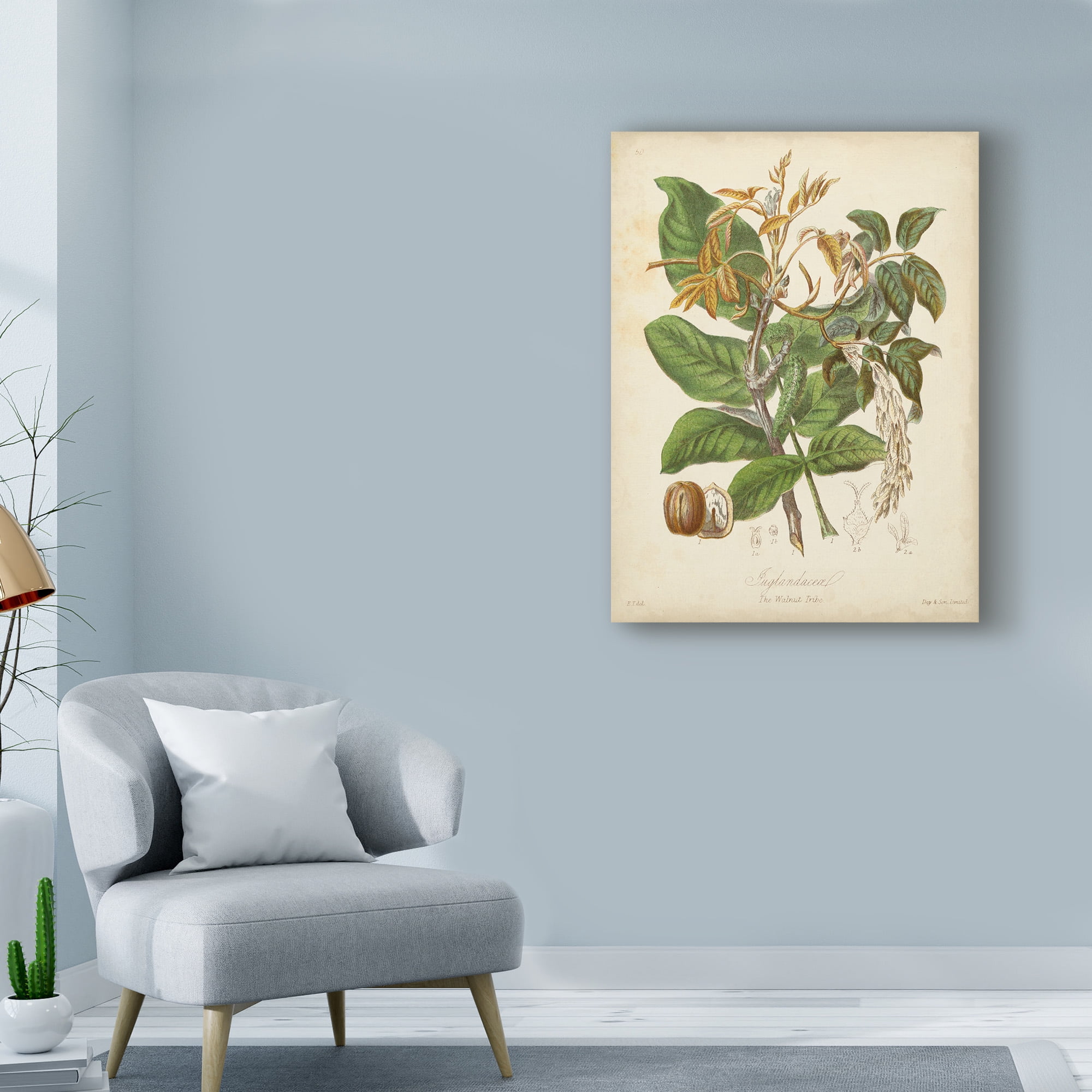 Trademark Fine Art 'Twining Botanicals VI' Canvas Art by Elizabeth Twining
