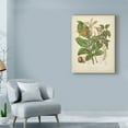 thumbnail image 3 of Trademark Fine Art 'Twining Botanicals VI' Canvas Art by Elizabeth Twining, 3 of 4