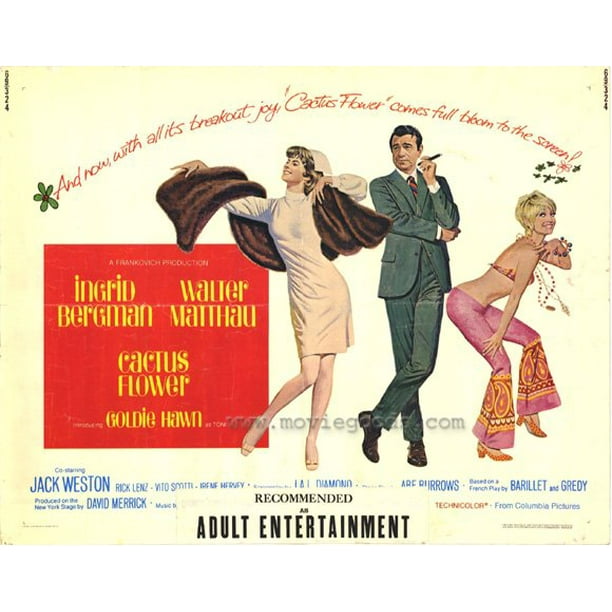 Cactus Flower movie POSTER (Half Sheet Style A) (22" x 28") (1969