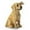 yellow, variant on openpig Solar Dog Garden Statues Decor, Outdoor Fairy Dogs Figurines Accessories Decorations with LED Lights Home Patio Balcony Yard Lawn Ornaments