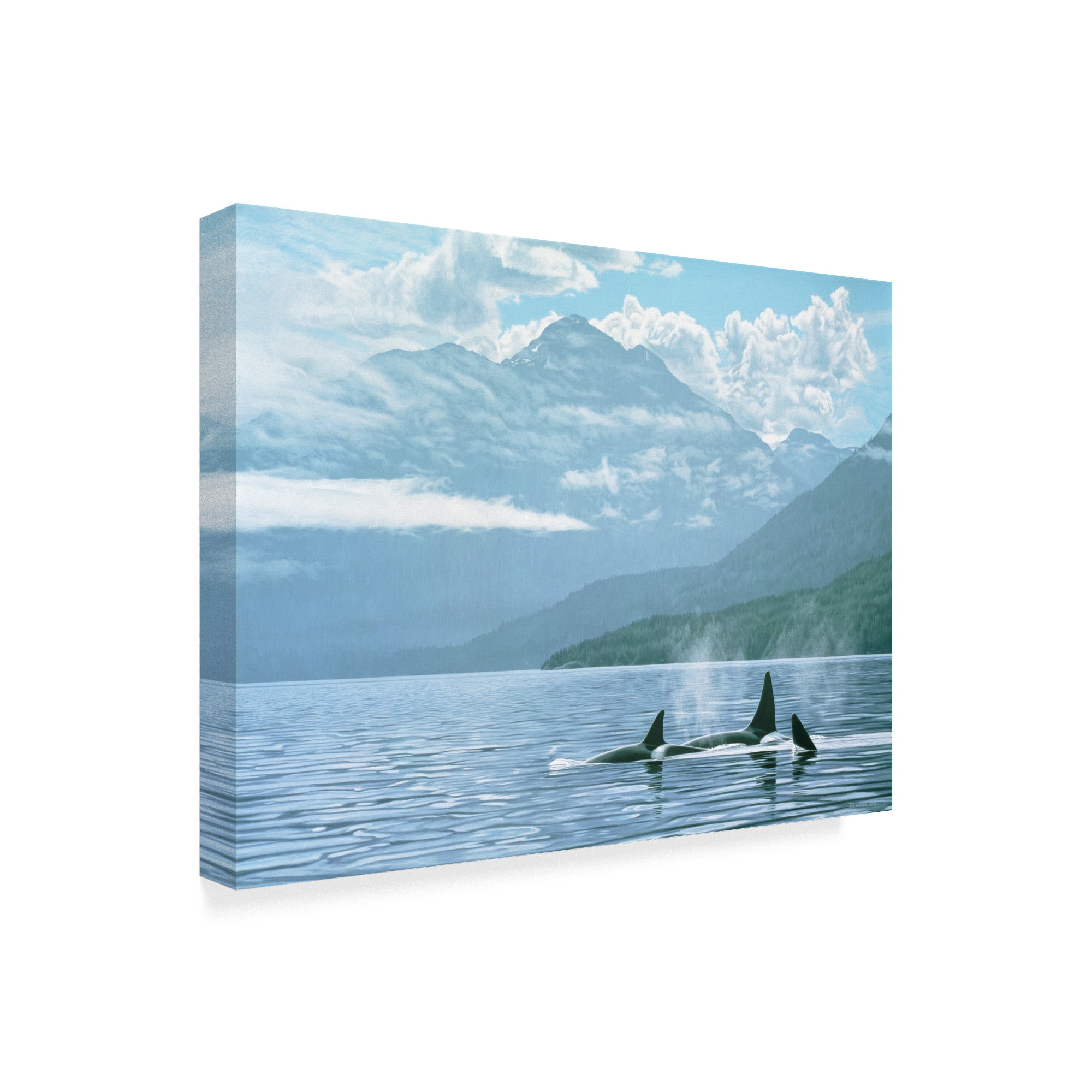 Trademark Fine Art 'Inside Passage' Canvas Art by Ron Parker