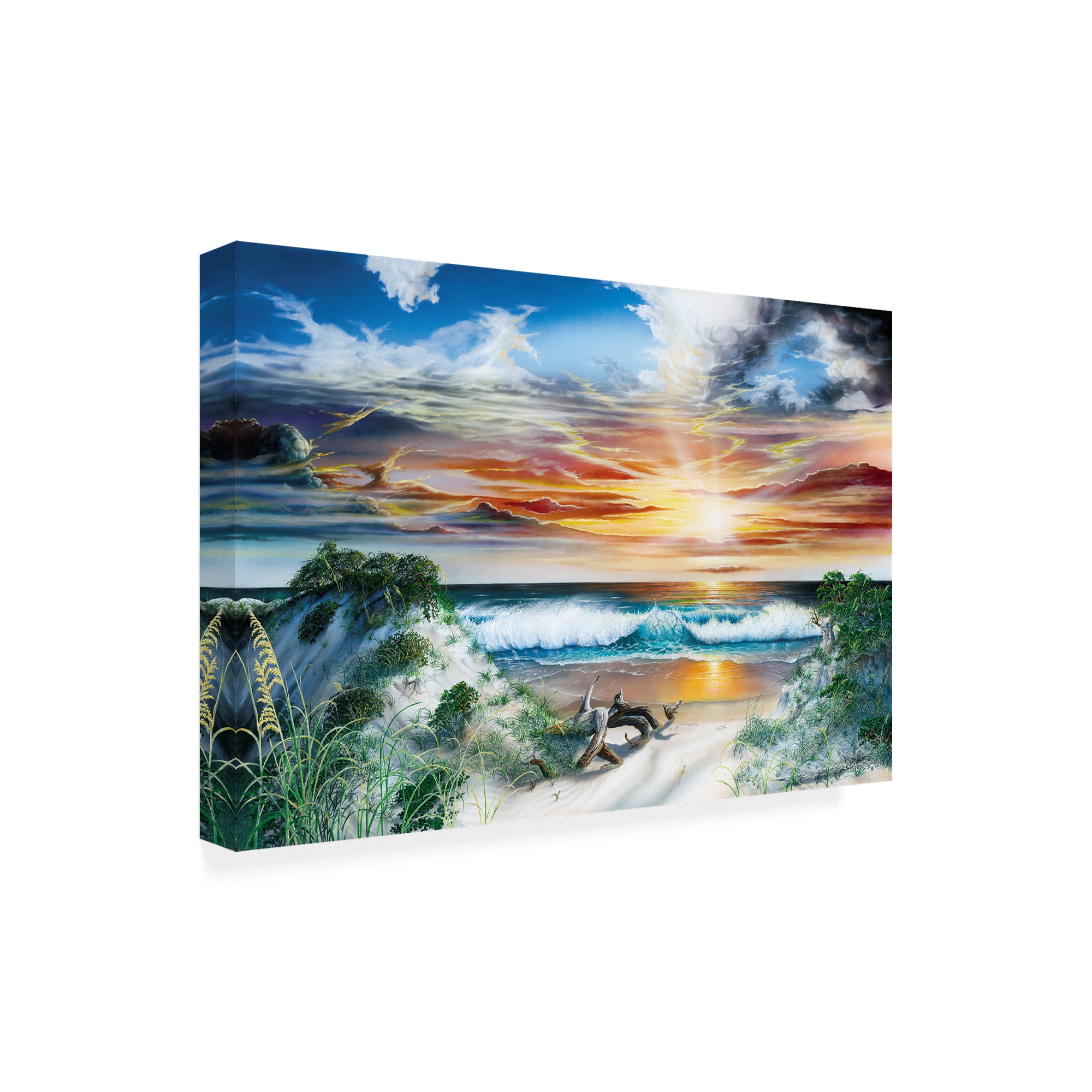 Trademark Fine Art 'Emerald Paradise' Canvas Art by Dann Spider Warren