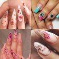 thumbnail image 3 of Flor seca 3D para decoración de uñas, pegatina Floral Natural mixta, calcomanías de Arte de uñas DIY, joyería, esmalte de Gel UV, manicura, 1 caja, 3 of 4