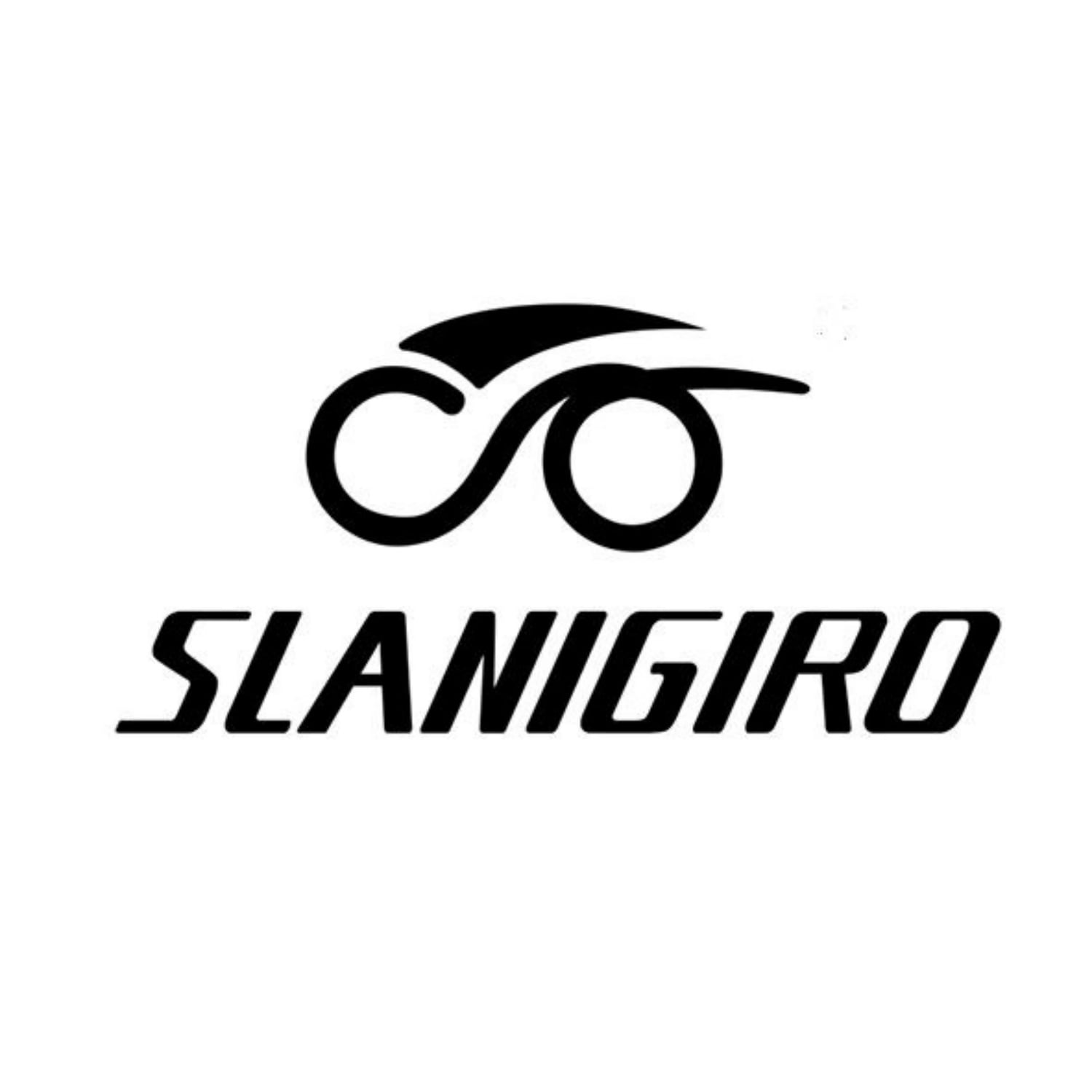 SLANIGIRO Adult Bike Helmet with Light - Commuter Bicycle Road Cycling Helmet with Replacement Pads for Men Women