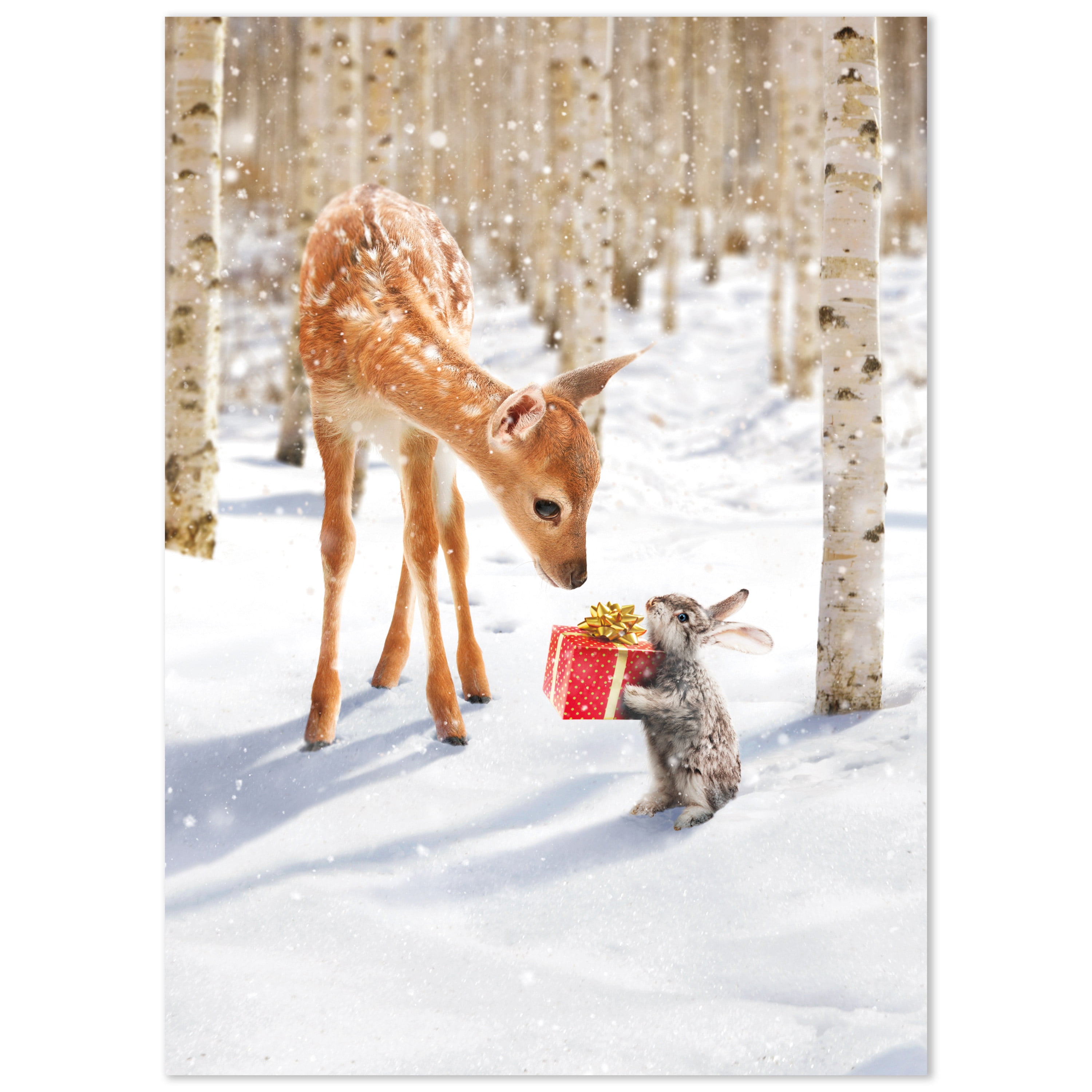 Avanti Christmas Cards 