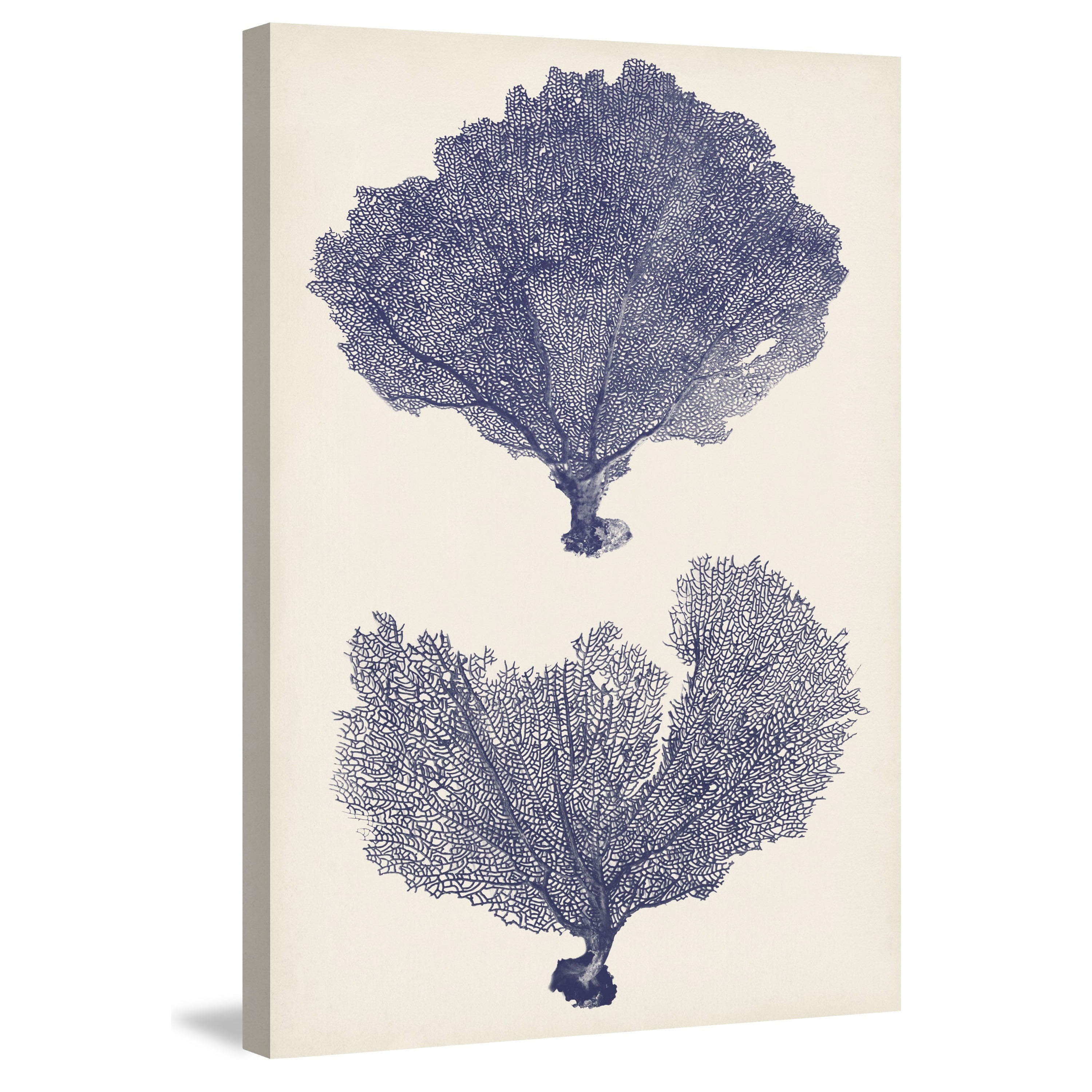 Marmont Hill "Indigo Seafans II" Painting Print on Wrapped Canvas