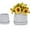 Gloss White, variant on S-HOME Handmade Navy Blue Ceramic Planters with Saucers, Set of 2 (5" & 8"), Leaf Design for Succulents Herbs Indoor Outdoor