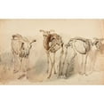 thumbnail image 3 of Jacques-Raymond Brascassat 14x11 Black Modern Framed Museum Art Print Titled - Three Studies of Sheep Skeletons (1834), 3 of 5