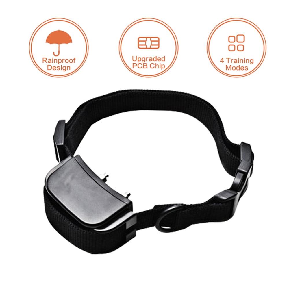 dog training collars