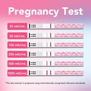 Easy@Home Pregnancy Test Kit - 6 Sticks + 12 Strips, Curved Handle - Early hCG Detection, Reliable & Accurate Results in Minutes, Easy Home Use, Valid until Oct 15,2026