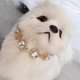 thumbnail image 1 of Pet Dog Cat Puppy Necklace Pendant Jewellery Gifts-M-Gold-Product code 53872 M Gold, 1 of 1