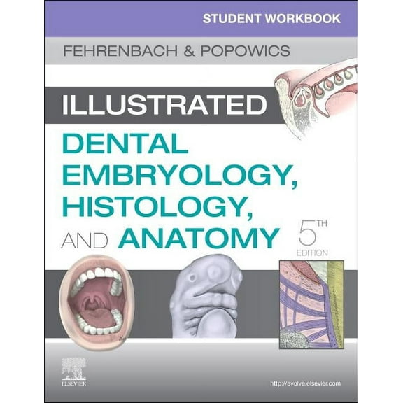 Student Workbook for Illustrated Dental Embryology, Histology and Anatomy, (Paperback)
