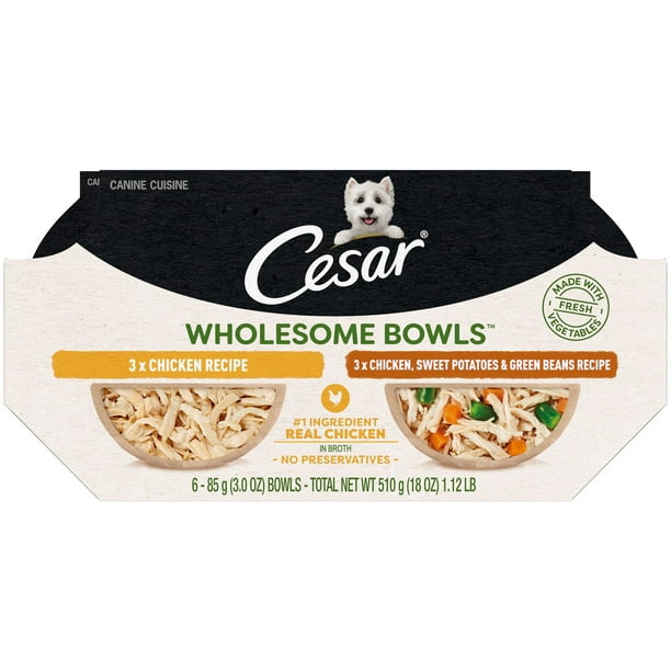CESAR Wholesome Bowls Chicken Wet Dog Food Toppers Variety Pack, (6