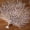 D, variant on Simulation Coral Branch Sea Tree Wedding Floral Decoration Plastic Sea Trunk Branch Artificial Decoration for Christmas New Year Decor