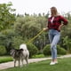 thumbnail image 4 of Correa para perros Altamente reflectante Elástico de servicio pesado Bungee Mediano y, 4 of 8