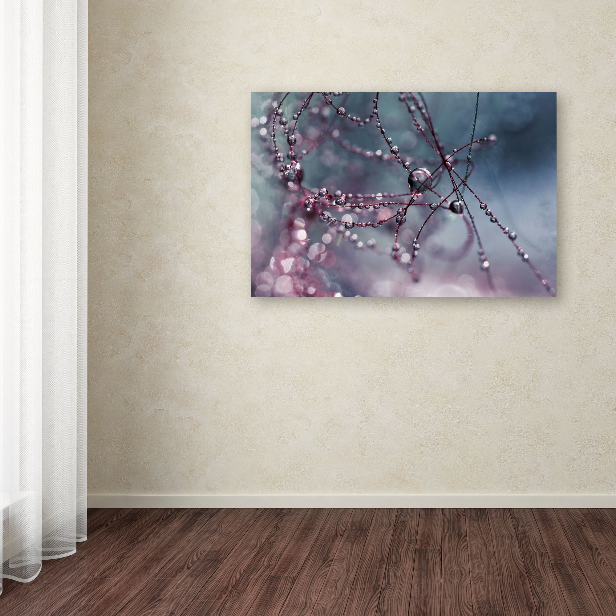 Trademark Fine Art "Colours of Today" Canvas Art by Beata Czyzowska Young