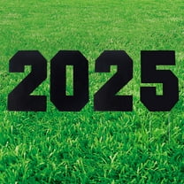 Fun Express 12 1/2" x 25" 2025 Black Plastic Outdoor Yard Signs- 4 Pc.