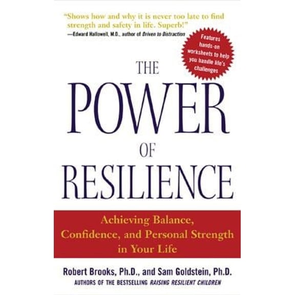 Pre-Owned The Power of Resilience : Achieving Balance, Confidence, and Personal Strength in Your Life (Paperback) 9780071431989