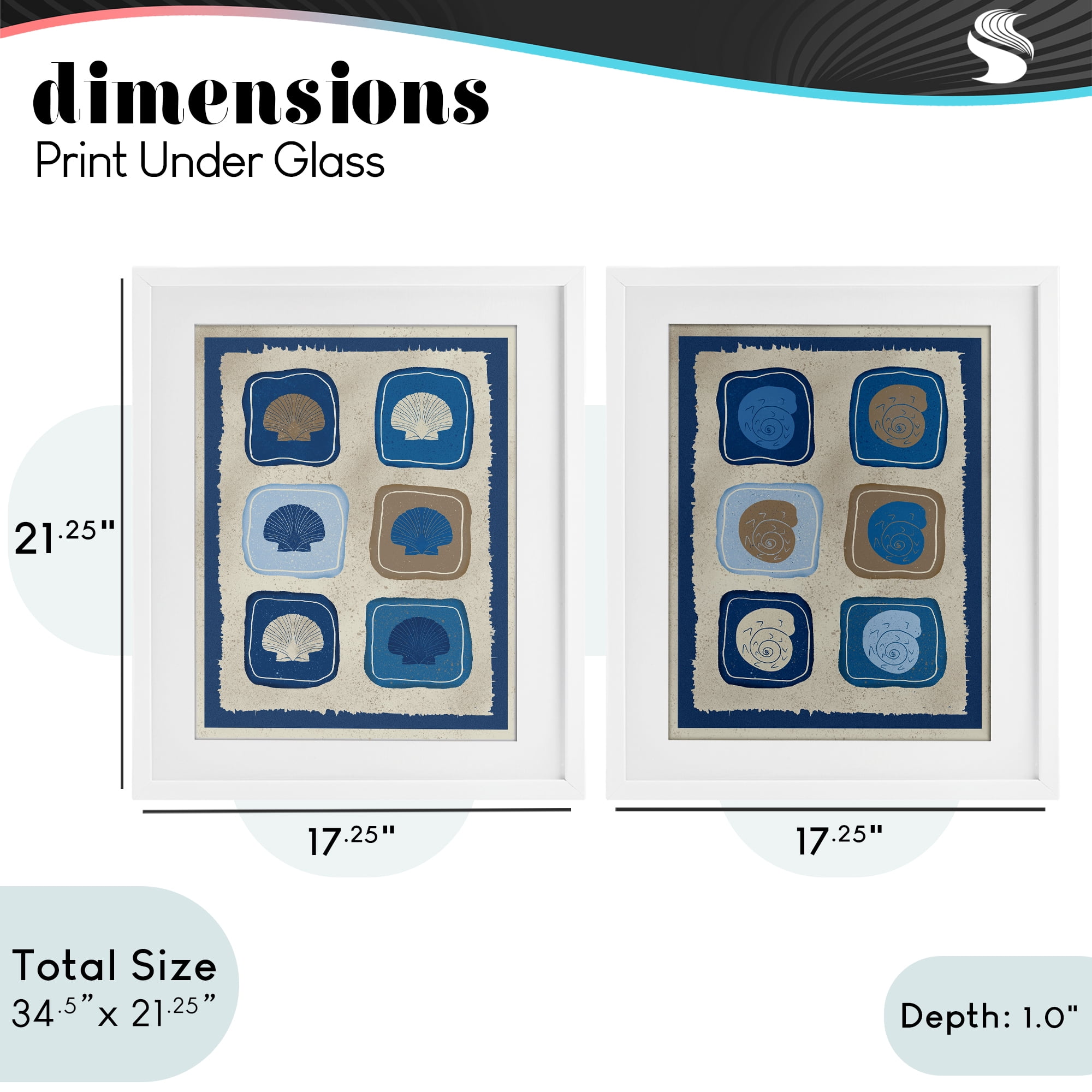 Stupell Industries Blue Blocked Seashells 2 Piece White Framed Print Under Glass Set, design by Julia Frost