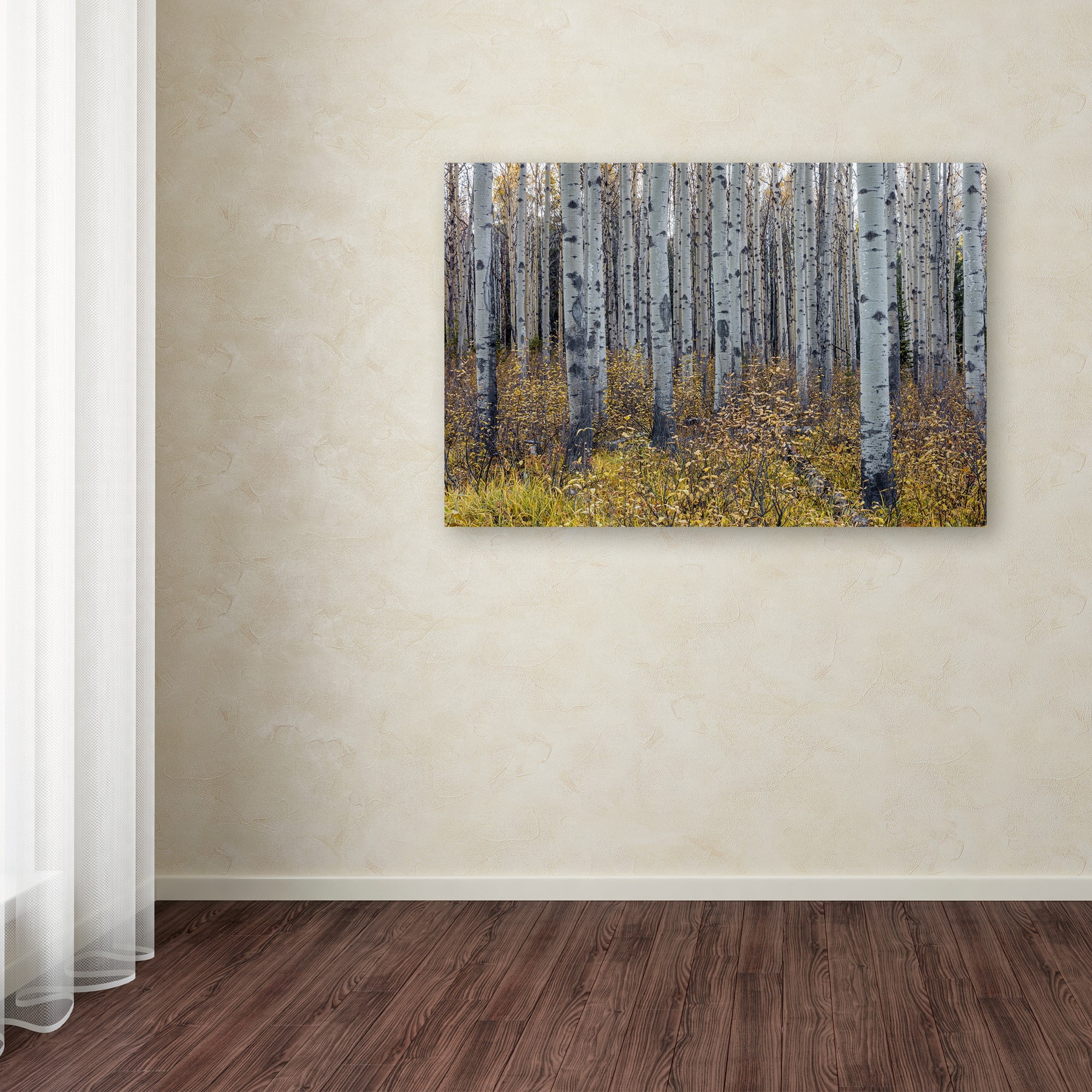 Trademark Fine Art 'Aspen Trees in Autumn' Canvas Art by Pierre Leclerc